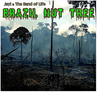 Jayl & The Band Of Life - Brazil Nut Tree